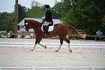 So8ths-5-3-13-Dressage-5316-ErinHite-Codachrome-DDeRosaPhoto