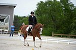 So8ths-5-3-13-Dressage-5325-ErinHite-Codachrome-DDeRosaPhoto