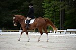 So8ths-5-3-13-Dressage-5343-ErinHite-Codachrome-DDeRosaPhoto