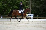 So8ths-5-3-13-Dressage-5420-SaraMiles-Misty'sRainDrop-DDeRosaPhoto