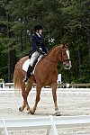 So8ths-5-3-13-Dressage-5537-CarolMahoney-MercuryRising-DDeRosaPhoto