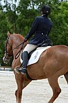 So8ths-5-3-13-Dressage-5544-CarolMahoney-MercuryRising-DDeRosaPhoto