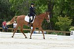 So8ths-5-3-13-Dressage-5564-CarolMahoney-MercuryRising-DDeRosaPhoto