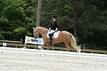 So8ths-5-3-13-Dressage-5570-TaylorPence-Goldie-DDeRosaPhoto