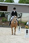 So8ths-5-3-13-Dressage-5572-TaylorPence-Goldie-DDeRosaPhoto