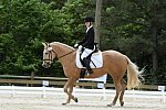 So8ths-5-3-13-Dressage-5576-TaylorPence-Goldie-DDeRosaPhoto