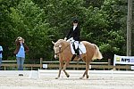So8ths-5-3-13-Dressage-5580-TaylorPence-Goldie-DDeRosaPhoto