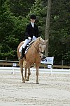 So8ths-5-3-13-Dressage-5582-TaylorPence-Goldie-DDeRosaPhoto