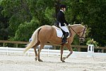 So8ths-5-3-13-Dressage-5586-TaylorPence-Goldie-DDeRosaPhoto