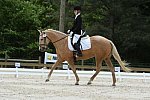 So8ths-5-3-13-Dressage-5595-TaylorPence-Goldie-DDeRosaPhoto