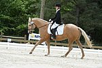 So8ths-5-3-13-Dressage-5597-TaylorPence-Goldie-DDeRosaPhoto