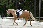 So8ths-5-3-13-Dressage-5601-TaylorPence-Goldie-DDeRosaPhoto