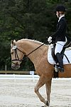 So8ths-5-3-13-Dressage-5606-TaylorPence-Goldie-DDeRosaPhoto
