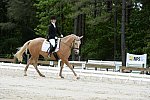 So8ths-5-3-13-Dressage-5608-TaylorPence-Goldie-DDeRosaPhoto