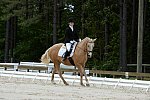 So8ths-5-3-13-Dressage-5609-TaylorPence-Goldie-DDeRosaPhoto