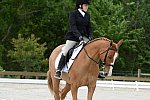 So8ths-5-3-13-Dressage-5043-SarahZimmer-MardiGras-DDeRosaPhoto