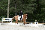 So8ths-5-3-13-Dressage-5054-SarahZimmer-MardiGras-DDeRosaPhoto
