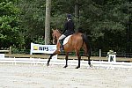 So8ths-5-3-13-Dressage-5222-TatyanaPrueter-Aberjoy-DDeRosaPhoto