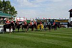 Spruce-Meadows2-9-5-13-3069-PenelopeLeprevost-DameBlanche-FRA-DDeRosaPhoto