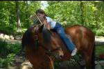 Horses-1-Jessie-5-26-08-DeRosaPhoto.jpg