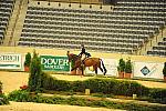 USHJA-Derby-8-20-10-DER_7639-QRnd1-Valient-TammyProvost-DDeRosaPhoto.jpg