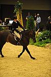 USHJA-Derby-8-20-10-DER_7823-QRnd1-YesIndeed-SarahMechlin-DDeRosaPhoto.jpg