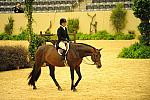 USHJA-Derby-8-20-10-DER_7905-QRnd1-TimberRidge-KelleyFarmer-DDeRosaPhoto.jpg