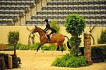 USHJA-Derby-8-20-10-DER_7994-QRnd1-Onassis-SarahWard-DDeRosaPhoto.jpg