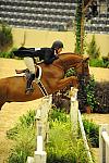 USHJA-Derby-8-20-10-DER_8081-QRnd1-SugarBoy-TammyProvost-DDeRosaPhoto.jpg