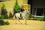 USHJA-Derby-8-21-10-Rnd2-DER1_9687-LouiseSerio-CastleRock-DDeRosaPhoto.JPG
