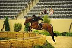 USHJA-Derby-8-21-10-Rnd2-DER1_9773-TheSpecialist-JenniferAlfano-DDeRosaPhoto.JPG