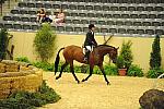 USHJA-Derby-Rnd2-DER2_0001-TellAll-PeterPletcher-DDeRosaPhoto.JPG