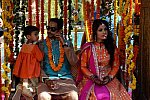Vivuchi Wedding-11-22-23-2016-9050-DDeRosaPhoto