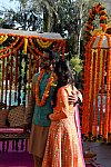 Vivuchi Wedding-11-22-23-2016-9175-DDeRosaPhoto
