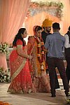 Vivuchi Wedding-11-22-23-2016-9852-DDeRosaPhoto