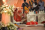 Vivuchi Wedding-11-22-23-2016-9890-DDeRosaPhoto