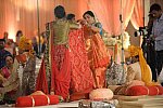 Vivuchi Wedding-11-22-23-2016-9913-DDeRosaPhoto