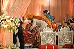Vivuchi Wedding-11-22-23-2016-9922-DDeRosaPhoto