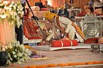 Vivuchi Wedding-11-22-23-2016-9945-DDeRosaPhoto