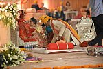 Vivuchi Wedding-11-22-23-2016-9946-DDeRosaPhoto