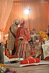 Vivuchi Wedding-11-22-23-2016-9950-DDeRosaPhoto