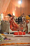 Vivuchi Wedding-11-22-23-2016-9953-DDeRosaPhoto