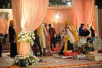 Vivuchi Wedding-11-22-23-2016-9960-DDeRosaPhoto