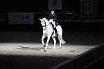 WIHS2-10-29-10-6397-PamGoodrich-Lamborghini-DDeRosaPhoto.JPG