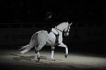 WIHS2-10-29-10-6412-PamGoodrich-Lamborghini-DDeRosaPhoto.JPG