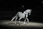 WIHS2-10-29-10-6413-PamGoodrich-Lamborghini-DDeRosaPhoto.JPG