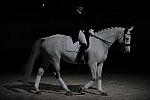 WIHS2-10-29-10-6456-PamGoodrich-Lamborghini-DDeRosaPhoto.JPG