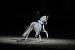 WIHS2-10-29-10-6490-PamGoodrich-Lamborghini-DDeRosaPhoto.JPG
