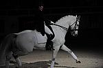 WIHS2-10-29-10-6520-PamGoodrich-Lamborghini-DDeRosaPhoto.JPG