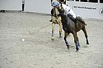 WIHS2-10-27-10-MilitaryPolo-2137-DDeRosaPhoto.jpg